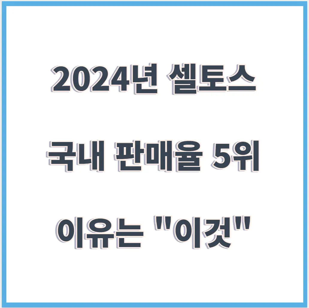 2024 셀토스