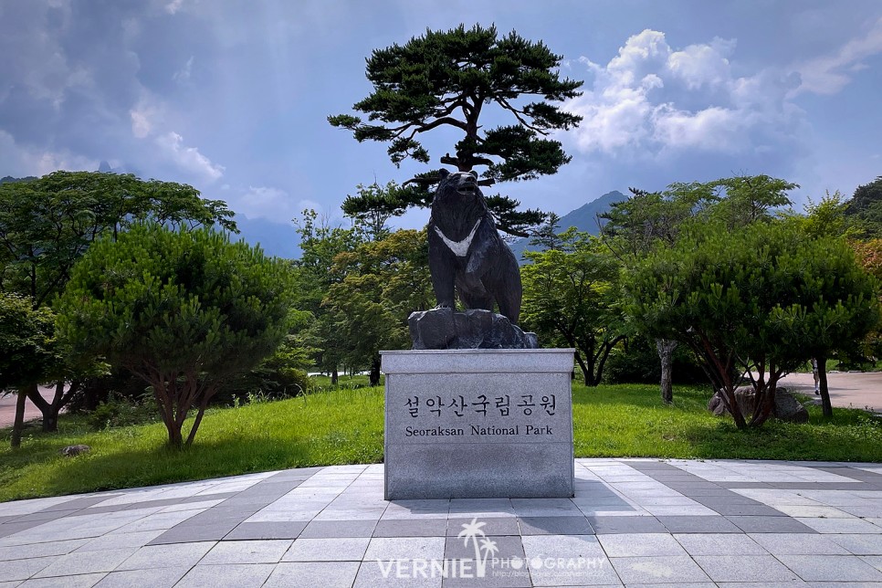 강원도1박2일 강원도 인제 가볼만한곳 7