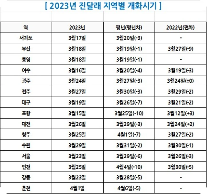 2023년-진달래-지역별-개화시기