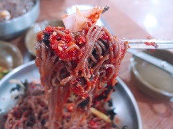 막국수 닭무침 닭곰탕
