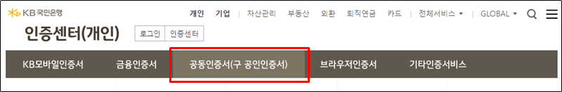 방법 - KB국민은행 개인공동인증서(구공인인증서) 재발급함 8