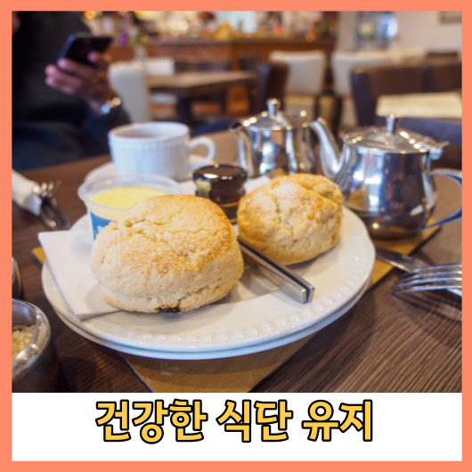 건강한 식단 유지