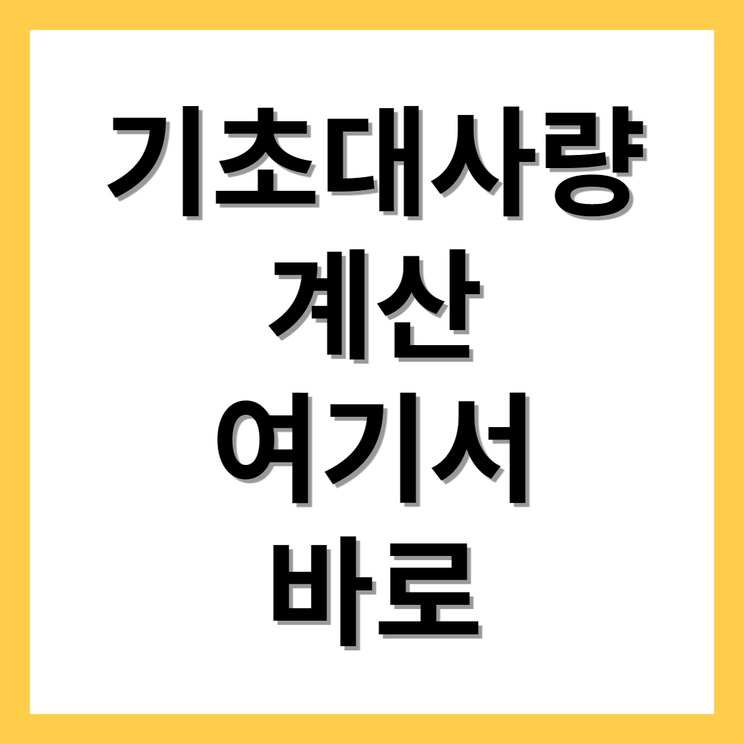  기초대사량 계산기 늘리는 방법 10가지