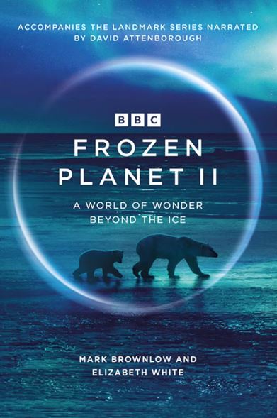 BBC-Planet-Earth-II-Ice-Bear-포스터