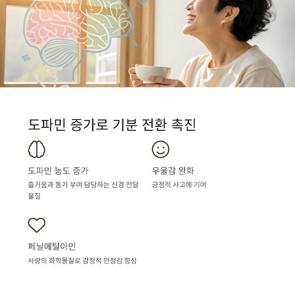 루이보스차