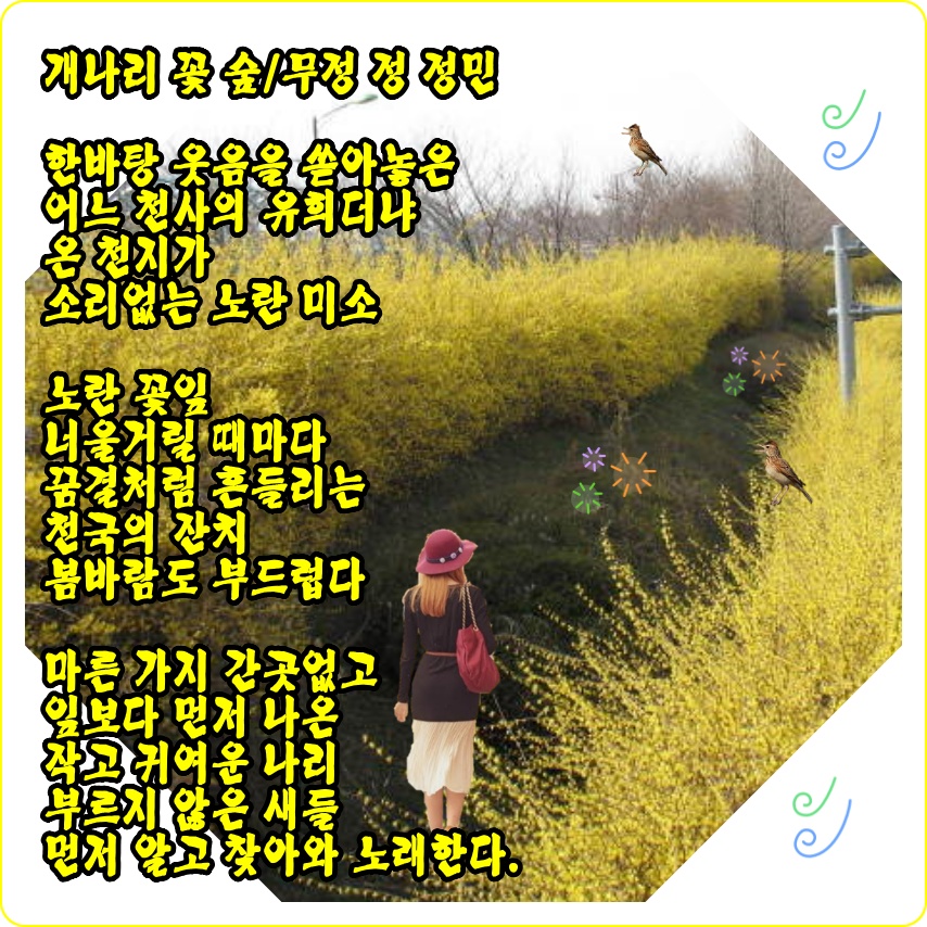 꽃숲 이미지