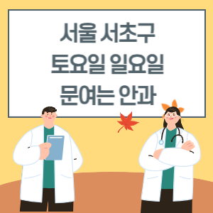 서울 서초구 토요일 일요일 안과 진료 병원 리스트