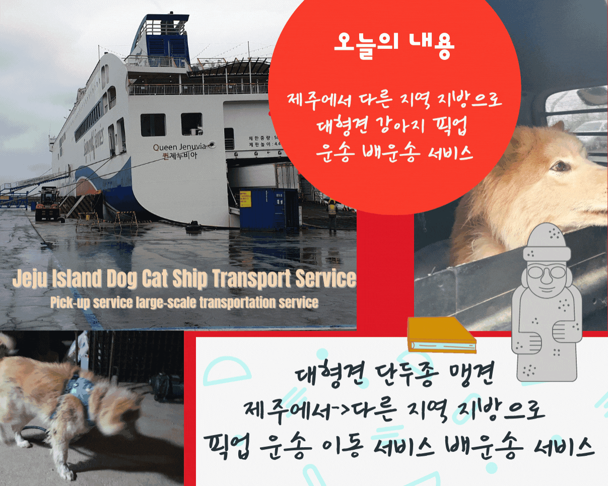  제주도 강아지 운송 제주시 대형견 운송 서울에서 제주도 대형견 배운송 대형견카고운송 맹견카고운송 단두종카고운송 강아지해외출국 고양이해외출국 전문 서비스