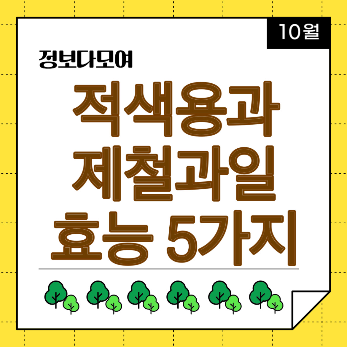 적색용과 제철과일 효능5가지 이야기 - 정보다모여