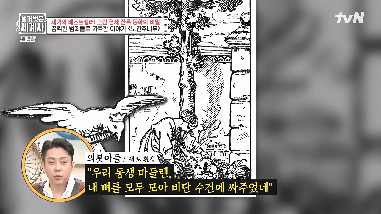 벌거벗은 세계사.E125.231115p-NEXT.mp4_20240601_175721.096.jpg