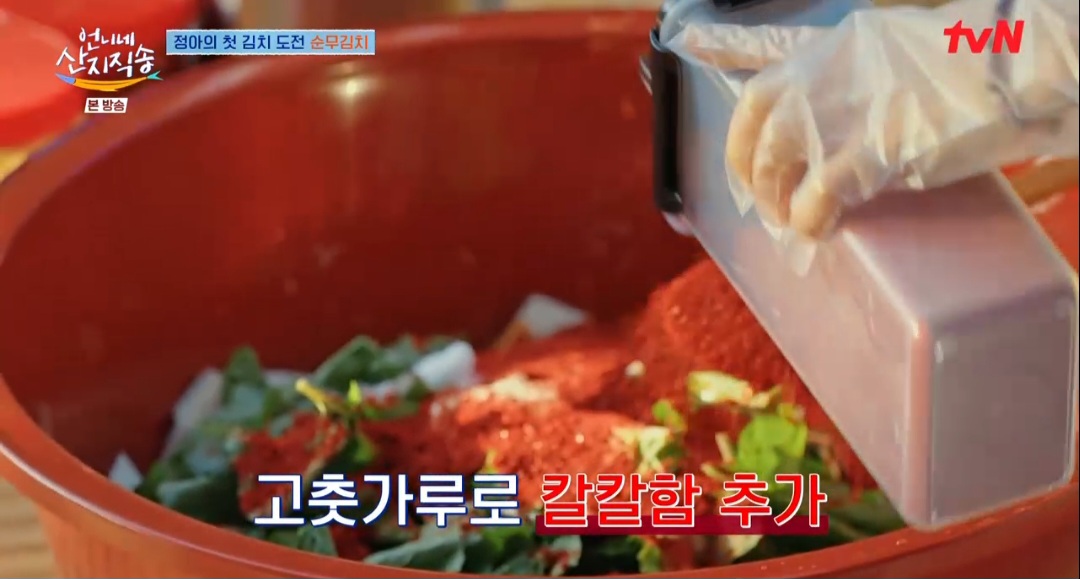 언니네산지직송 염정아 순무김치 레시피