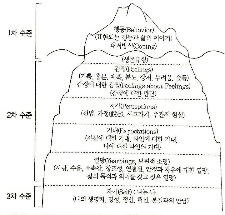 사티어- 개인빙산