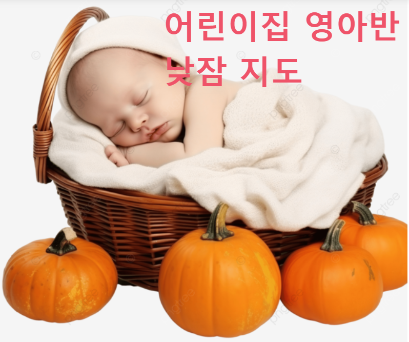 어린이집 영아반 낮잠 지도