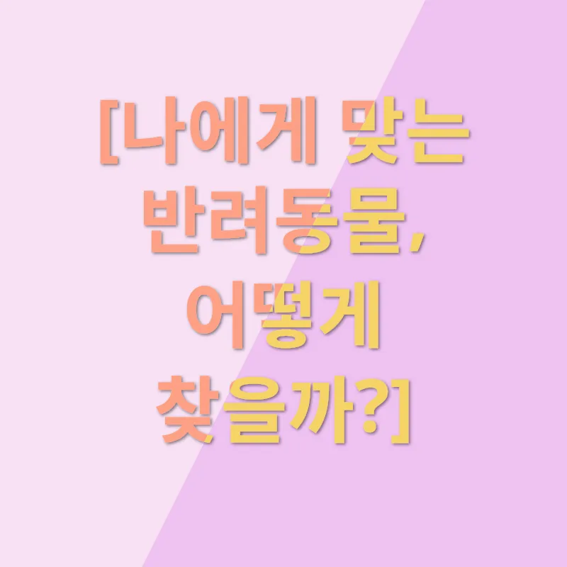 반려동물 입양_2