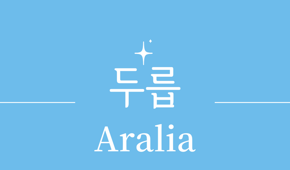 &#39;두릅(Aralia)&#39;