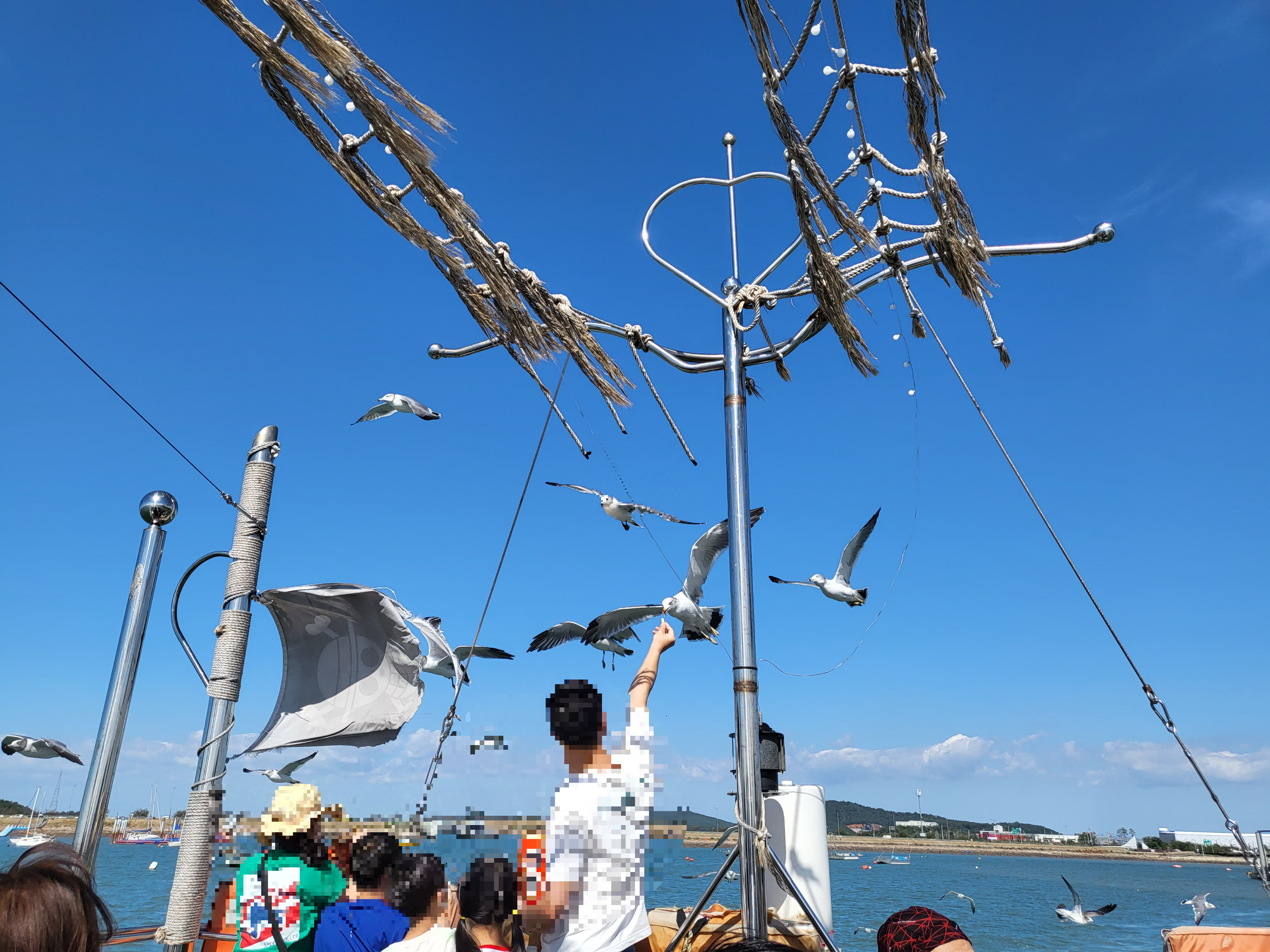  화성 전곡항 해적 유람선 타기