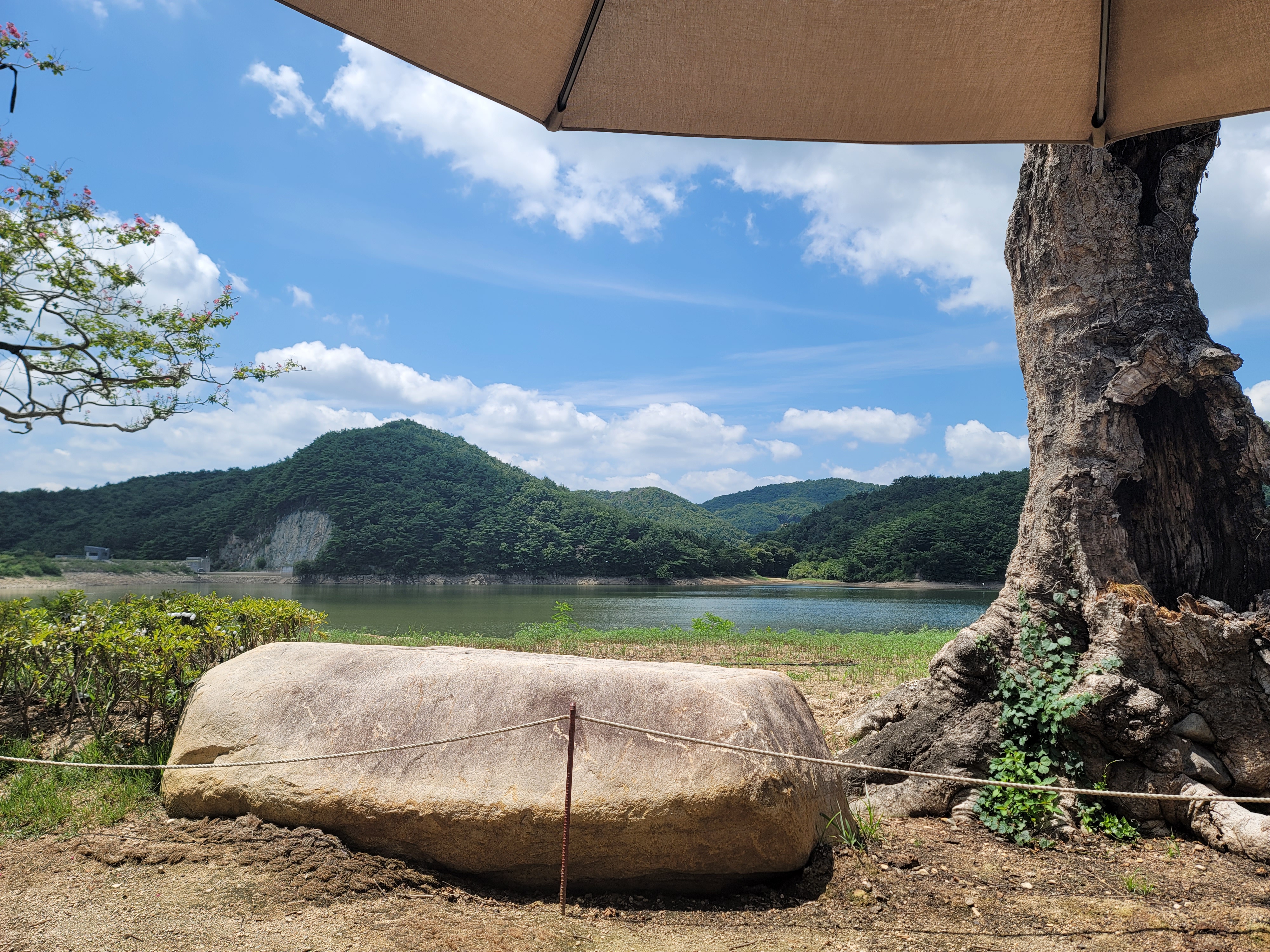 경주 카페 아래헌 저수지 풍경