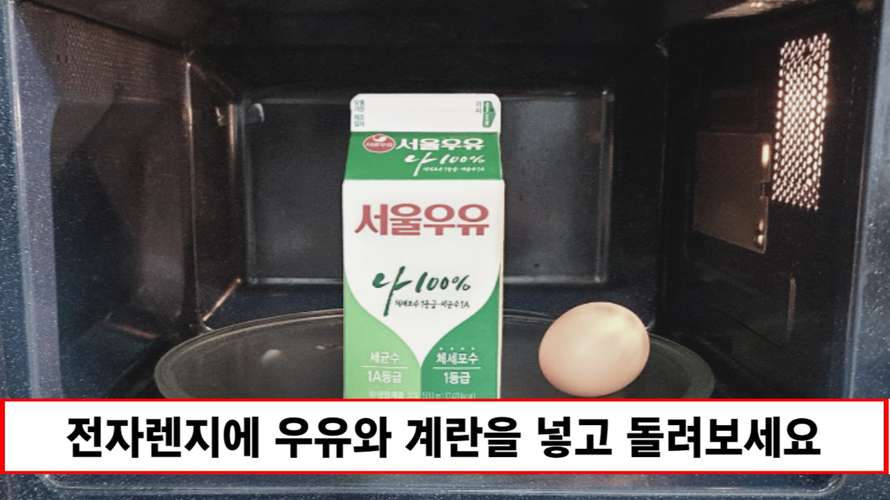 “전자레인지에 우유과 계란을 넣어보세요” 바쁜 아침 순식간에 훌륭한 요리가 완성됩니다