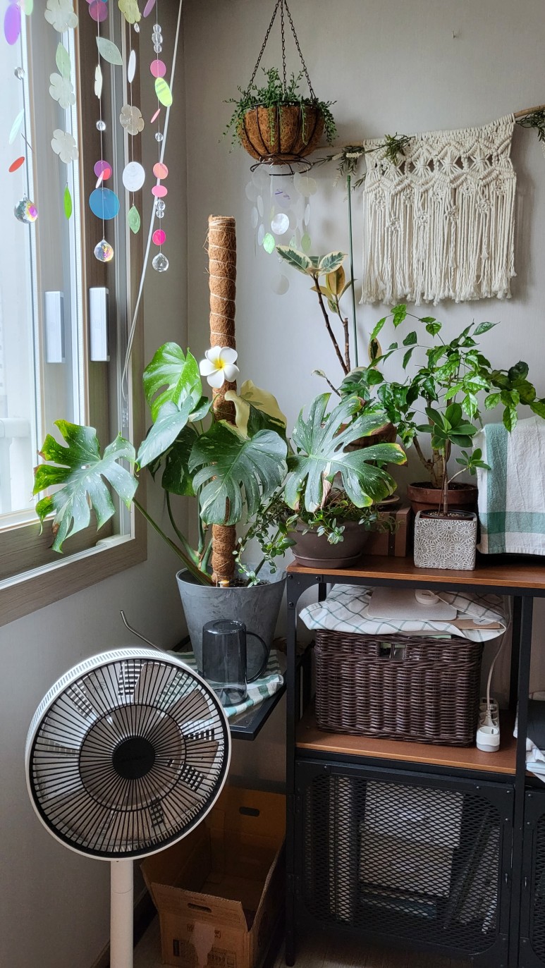 퓨처 그린 식물등으로! 22