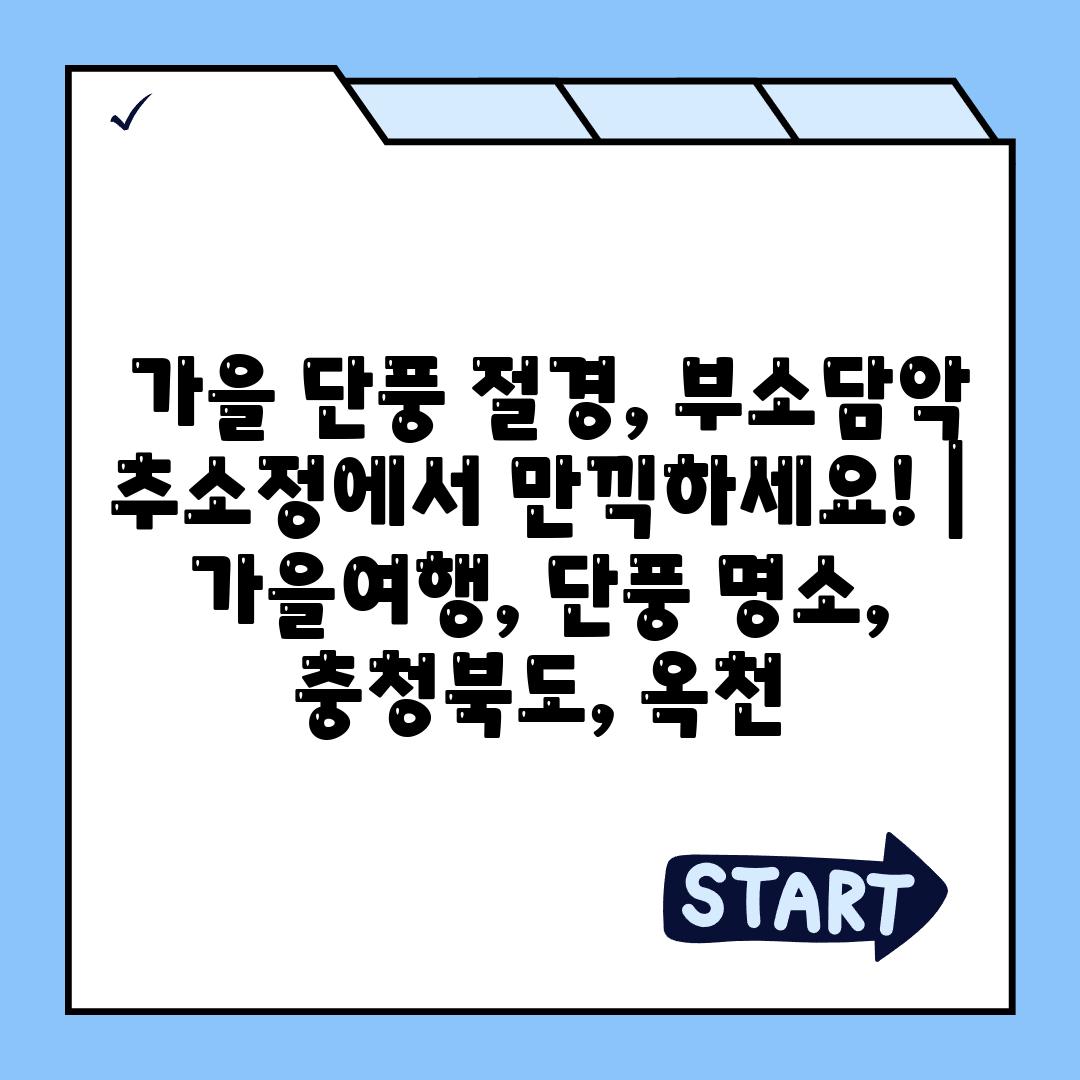 사진38