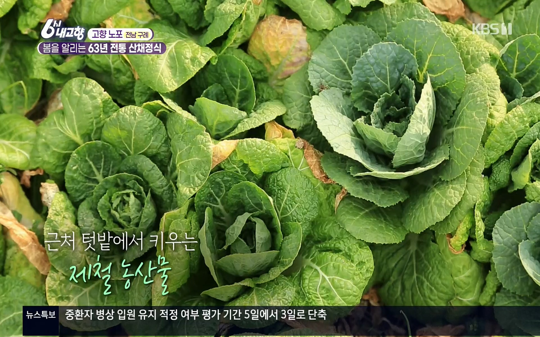 6시 내고향.E7494.220322p.H264-F1RST.mp4_20220326_182156.541.jpg