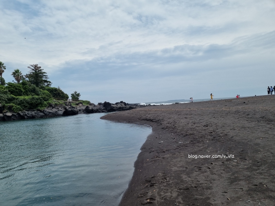 함께라면 전통테우 탑승 후기 제주 쇠소깍 어린 아이들과 16