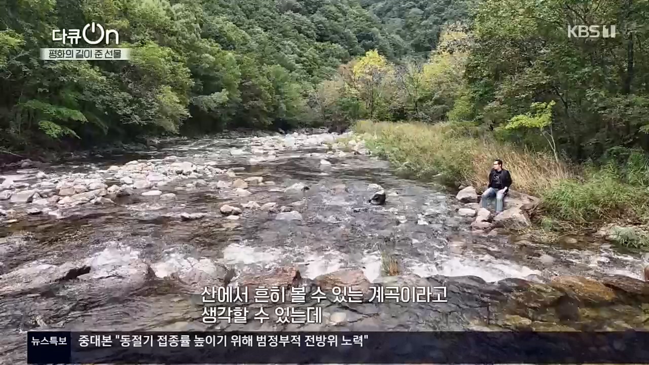 다큐 On.E172.221119p.H264

-F1RST.mp4_20221122_201817.133.jpg