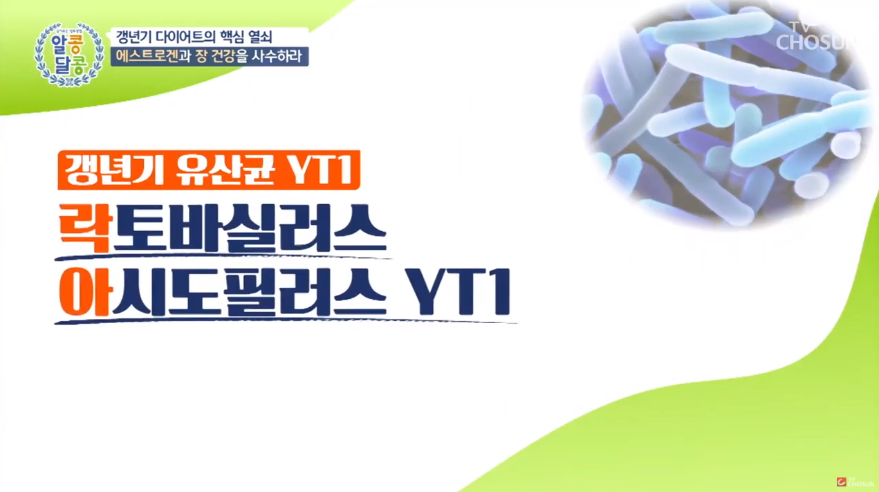  갱년기유산균 YT1