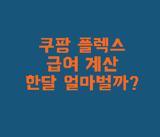 쿠팡 플렉스 급여 한달하면 얼마벌까?