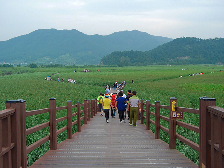 순천만습지