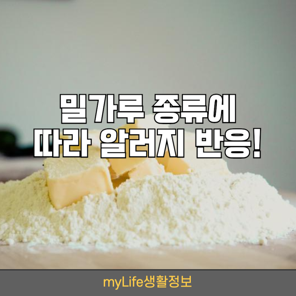 밀가루 종류에 따라 알러지 반응