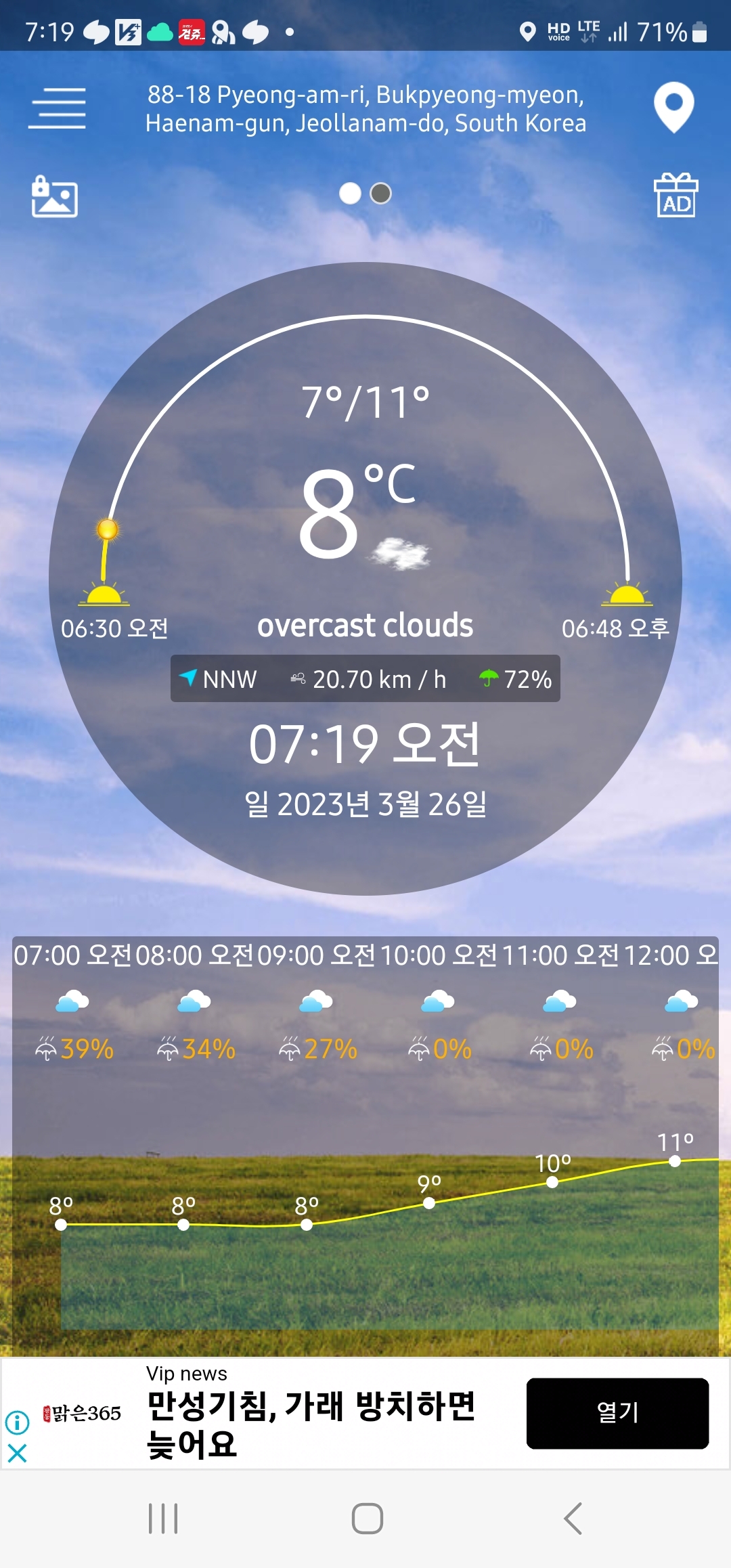 송지 이미지