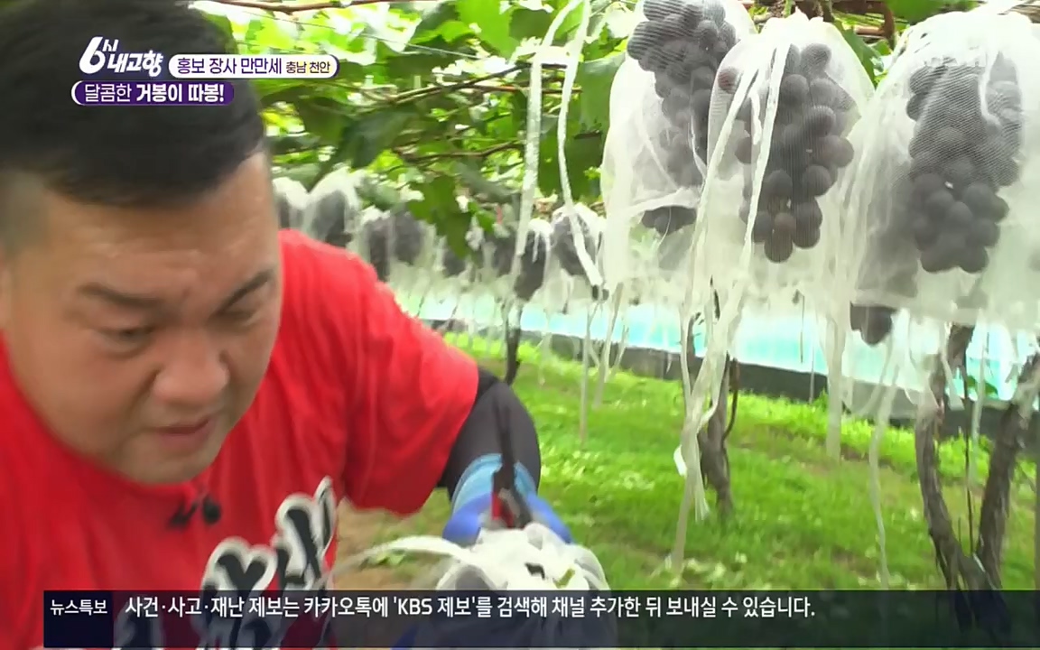 6시 내고향.E7583.220727p.H264-F1RST.mp4_20220727_213908.207.jpg