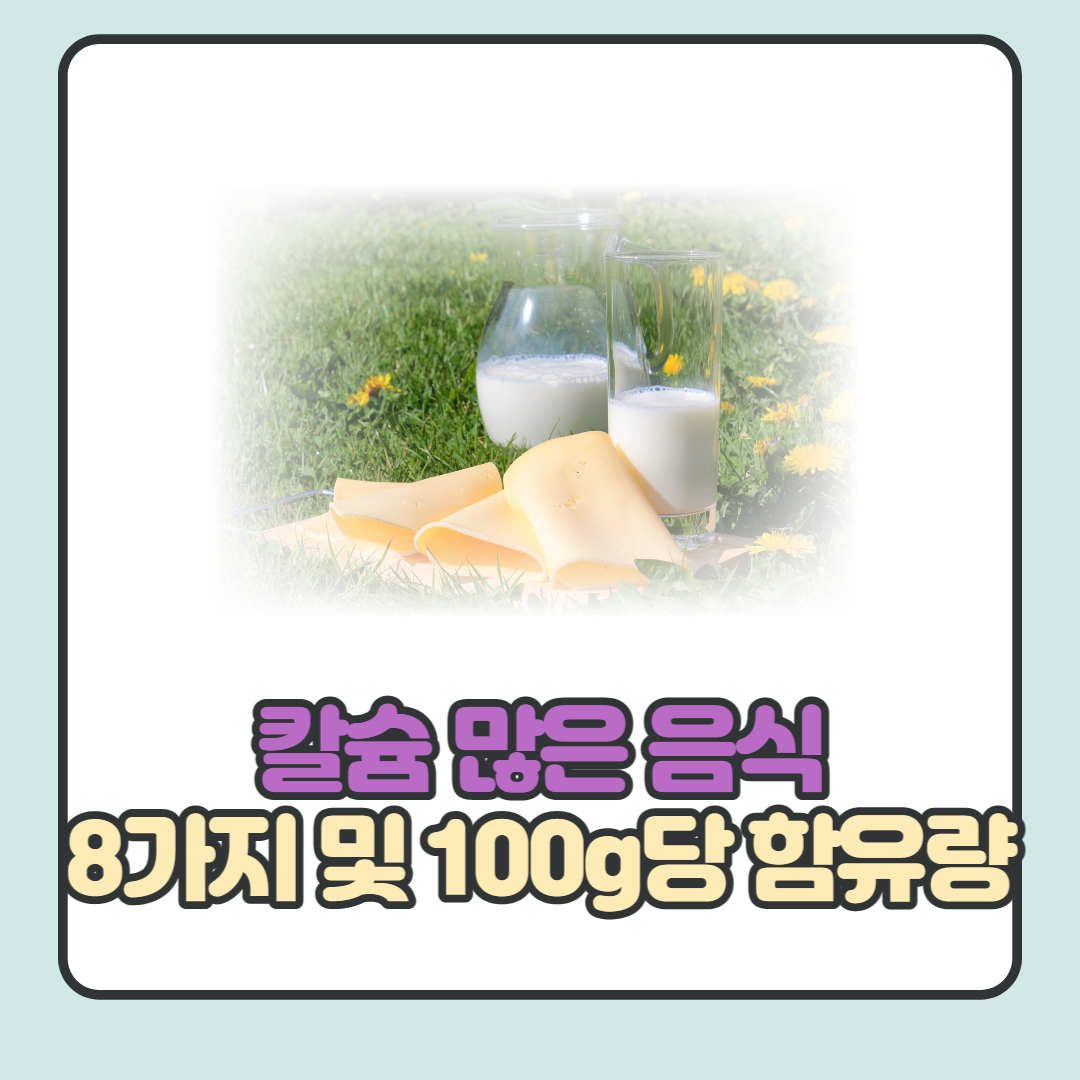  칼슘 많은 음식 8가지 및 함유량 알아보기.