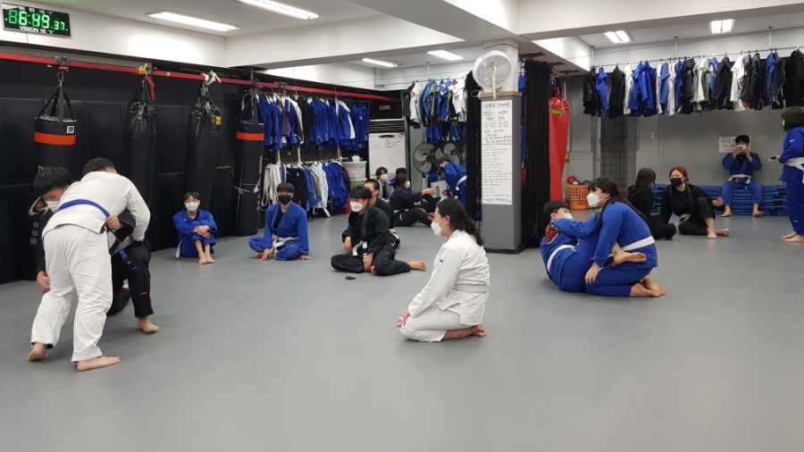유색 벨트 분과 주짓수 (개금 주지 · 개금복싱 · 개금킥복싱 · 개금다이어트) 친절 8