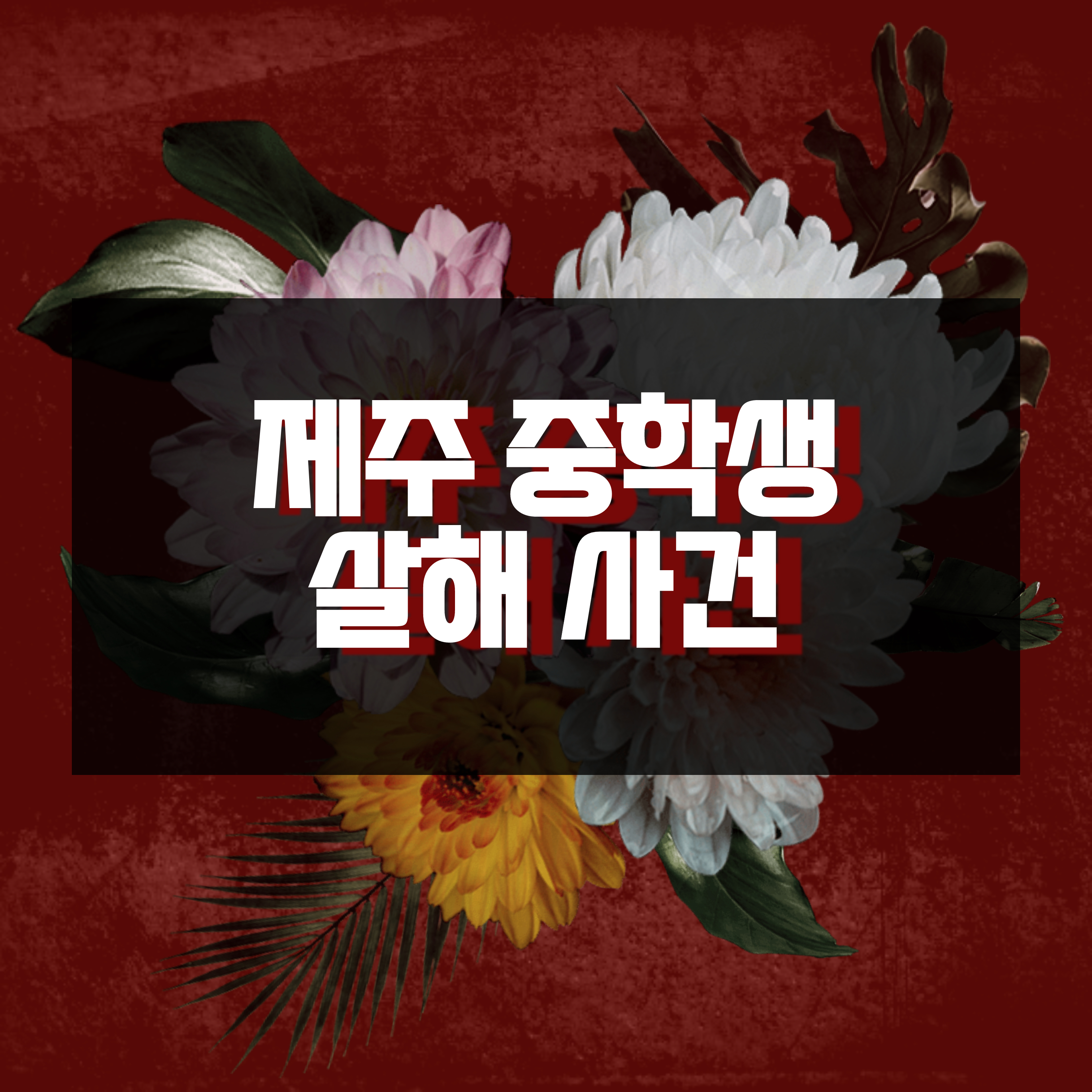 제주 중학생 살해