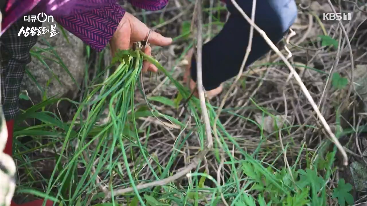 다큐 온.E249.240526p-NEXT.mp4_20240526_152340.702.jpg