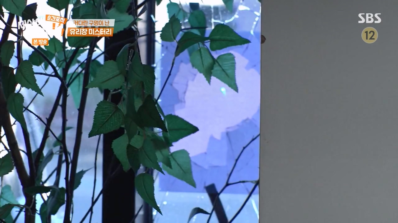 순간포착 세상에 이런일이.E1250.231029p-NEXT.mp4_20231029_153403.308.jpg