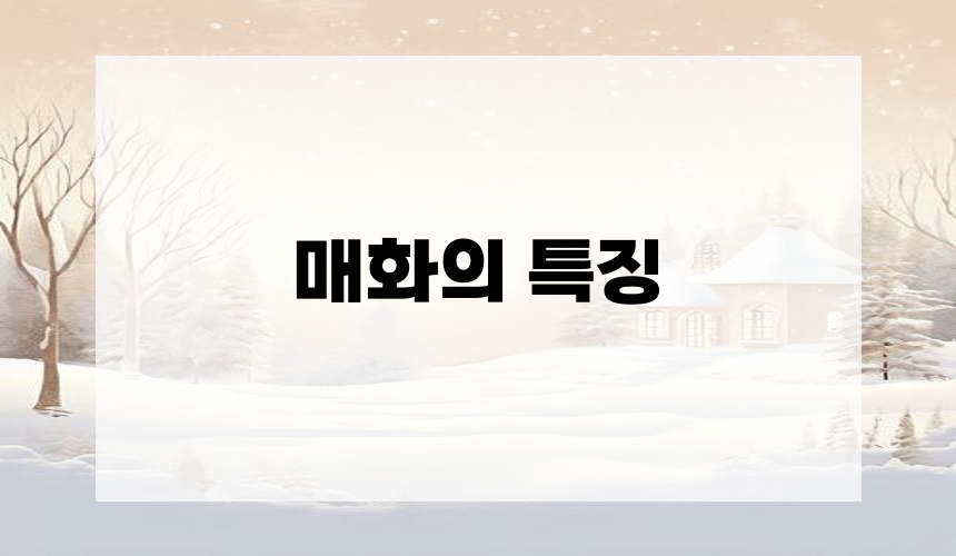 매화의 특징