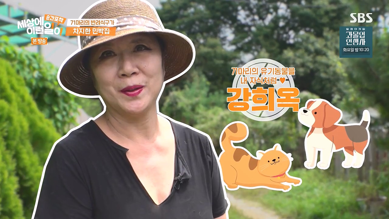 순간포착 세상에 이런일이.E1244.230903p-NEXT.mp4_20230903_172538.297.jpg