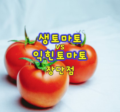 생토마토-익힌토마토-비교