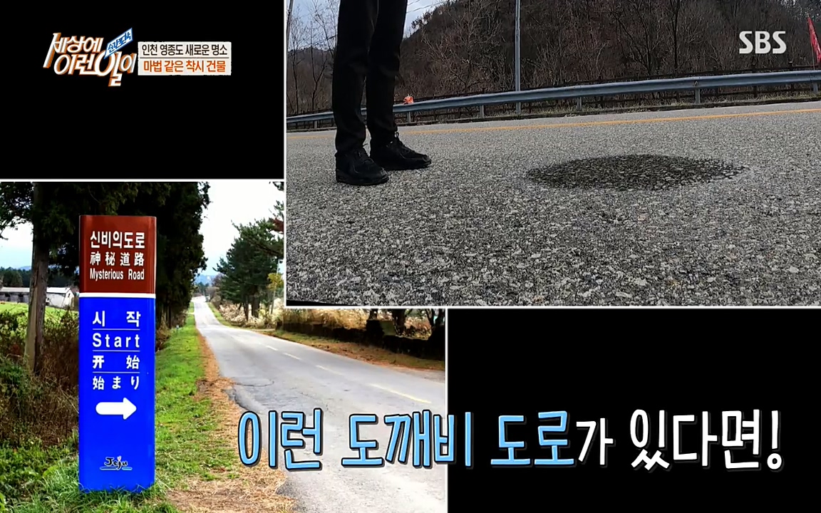 순간포착 세상에 이런일이.E1176.220420p-NEXT.mp4_20220420_173718.013.jpg