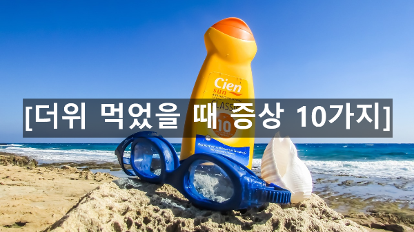  더위 먹었을 때 증상 10가지 (일사병과 열사병)
