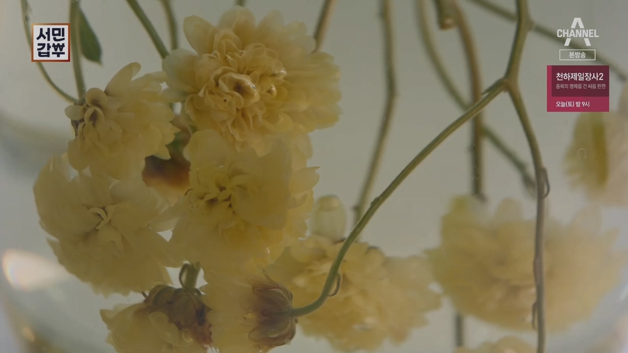 서민갑부.E431.230416p.H264-F1RST.mp4_20230417_203812.990.jpg