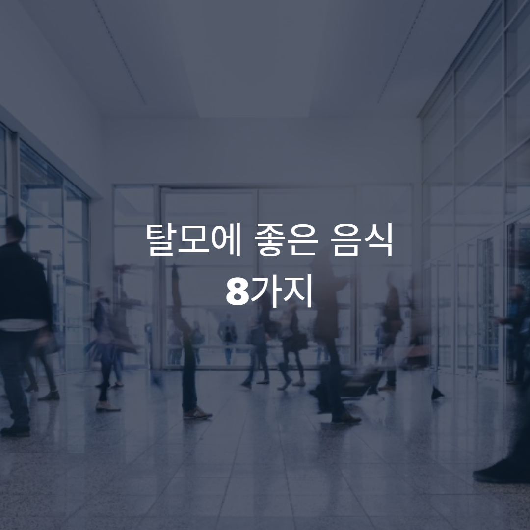  탈모에 좋은 음식 알아보기
