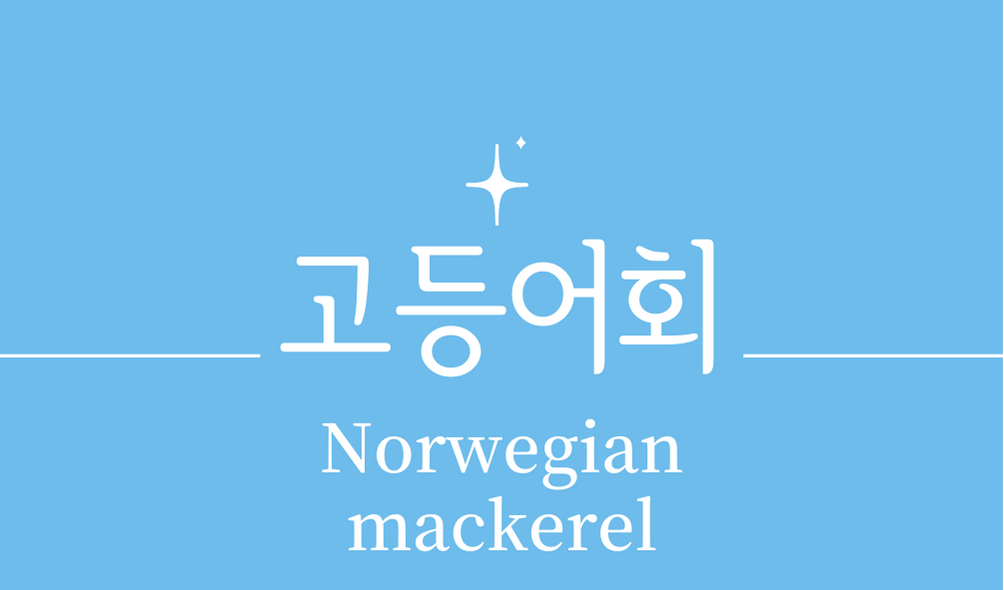 &#39;고등어회(mackerel sashimi)&#39;