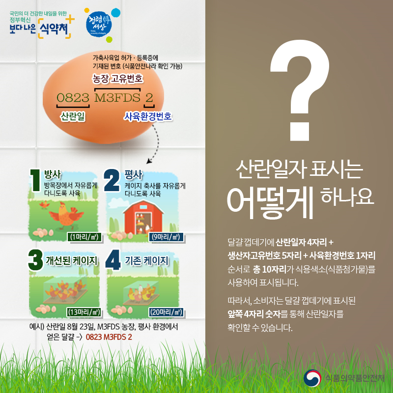  달걀(계란) 고르는 팁.