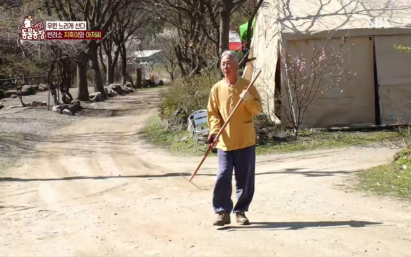 TV 동물농장.E1074.220619p.H264-F1RST.mp4_20220619_181148.098.jpg