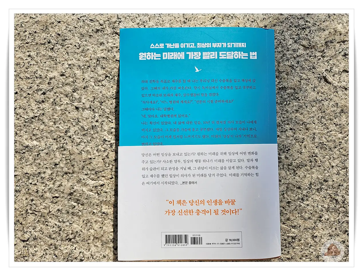 나는-나의-스무살을-가장=존중한다-책리뷰