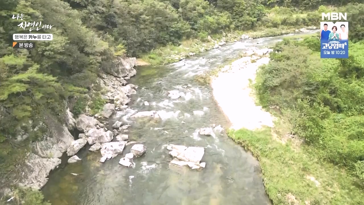 나는 자연인이다.E576.231019p-NEXT.mp4_20231019_201407.961.jpg
